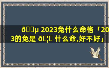 🐵 2023兔什么命格「2023的兔是 🦈 什么命,好不好」